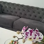 Casuta Galbena *