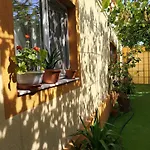 Casuta Galbena