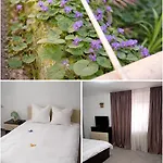 Casuta Galbena Апартаменти *
