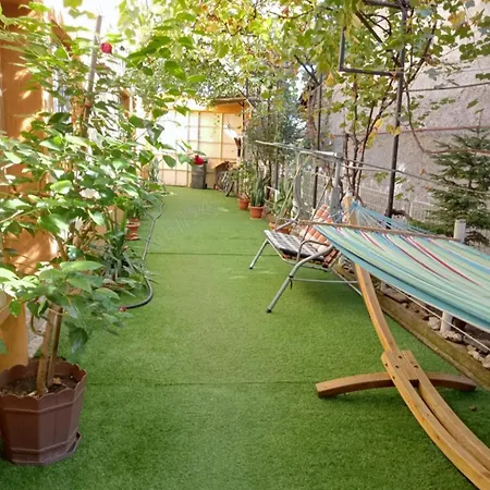 Daire Casuta Galbena *