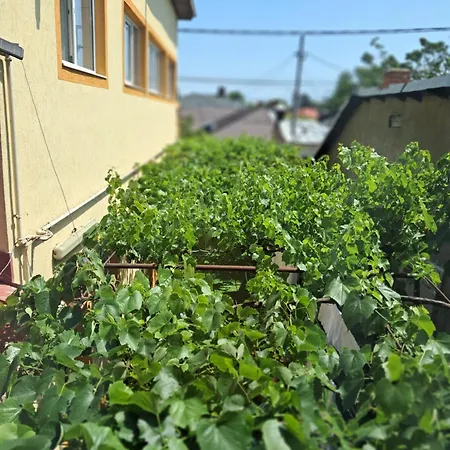 Casuta Galbena * Bükreş