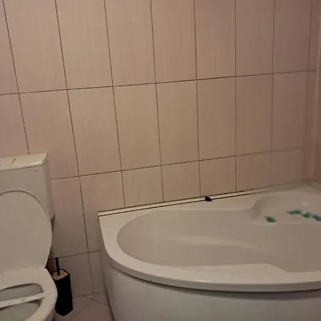 Casuta Galbena Apartment