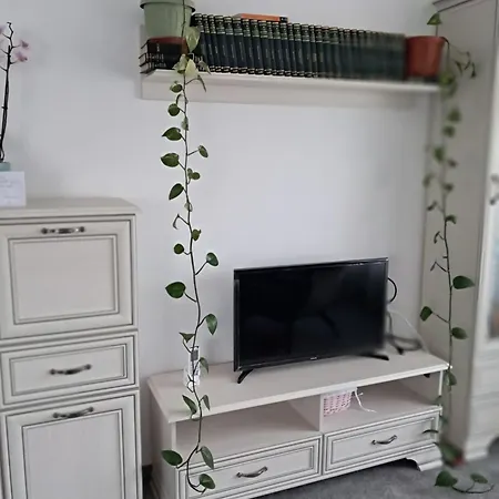 Casuta Galbena Апартаменты Бухарест