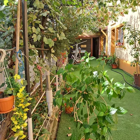 Апартаменты Casuta Galbena