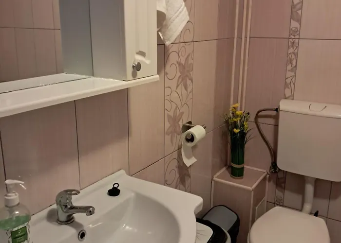 Casuta Galbena Apartment