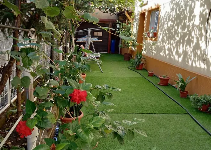 Apartment Casuta Galbena *