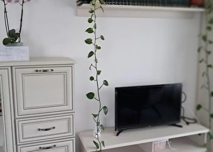 Casuta Galbena