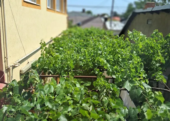Casuta Galbena * Bukarest