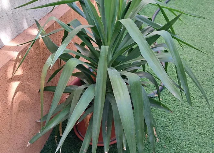 Апартаменты Casuta Galbena