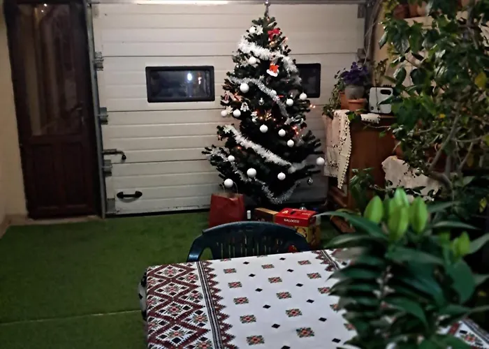 Casuta Galbena *