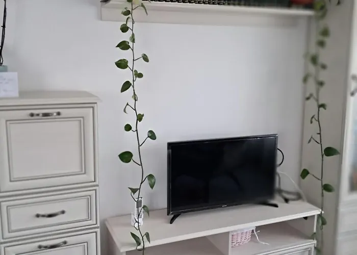 Casuta Galbena 아파트 부쿠레슈티