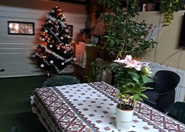 Casuta Galbena Апартаменты *