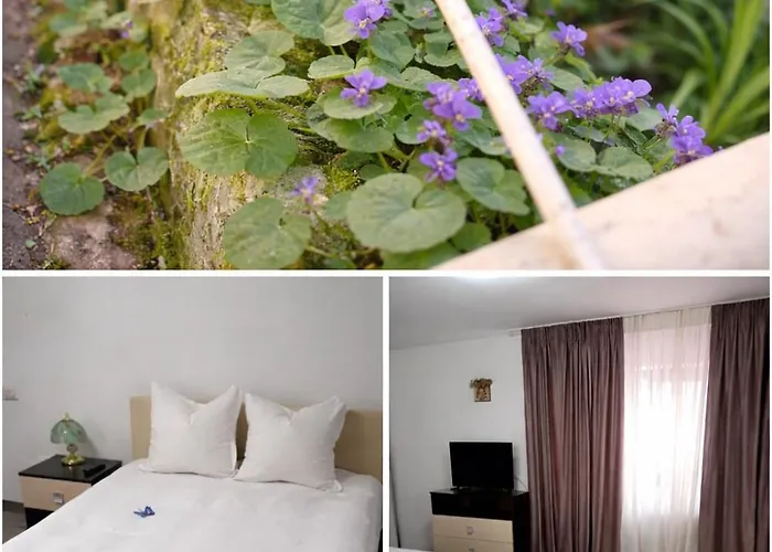 Casuta Galbena Апартаменты *