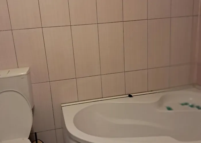 Casuta Galbena شقة