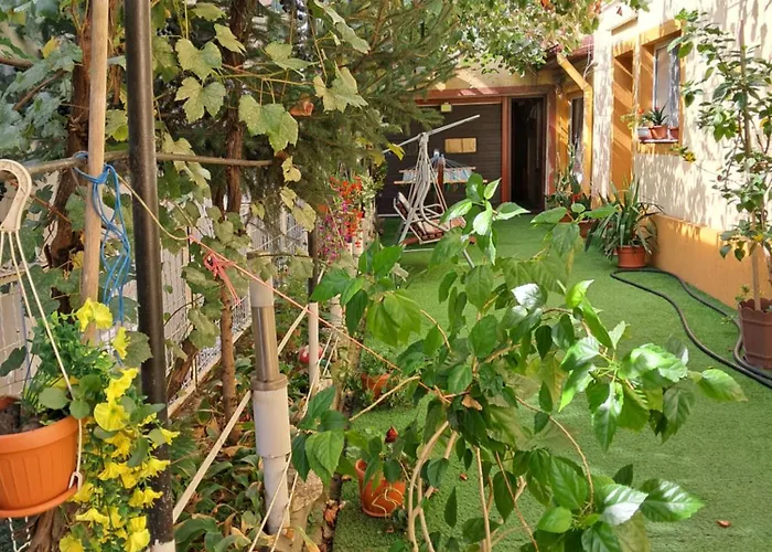 شقة Casuta Galbena